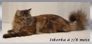 iskorka_7-8mois1